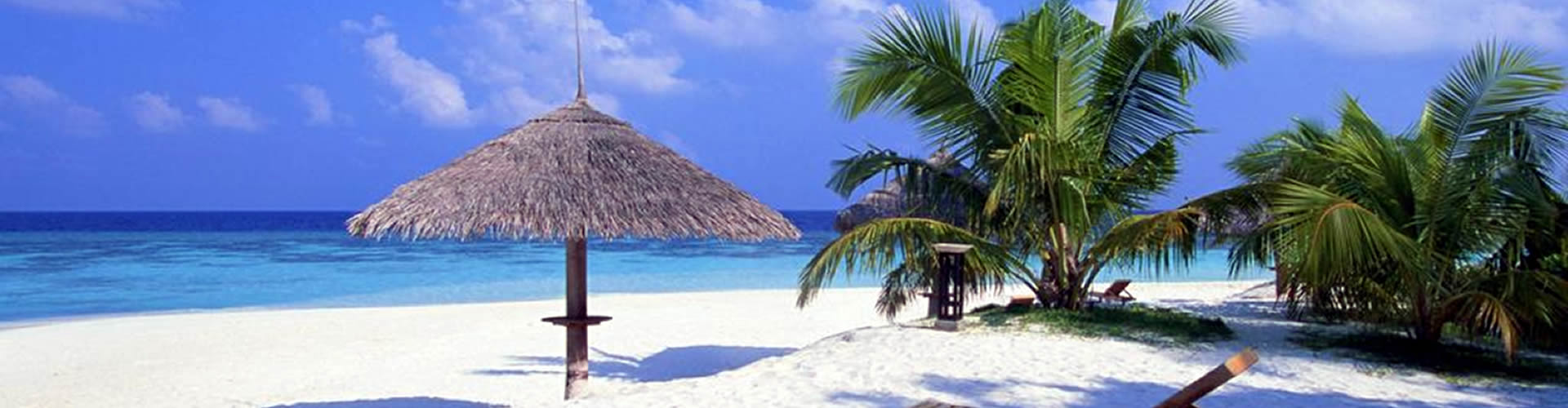 estelarix_cursos_els_St_Petersburg_Florida_top_1